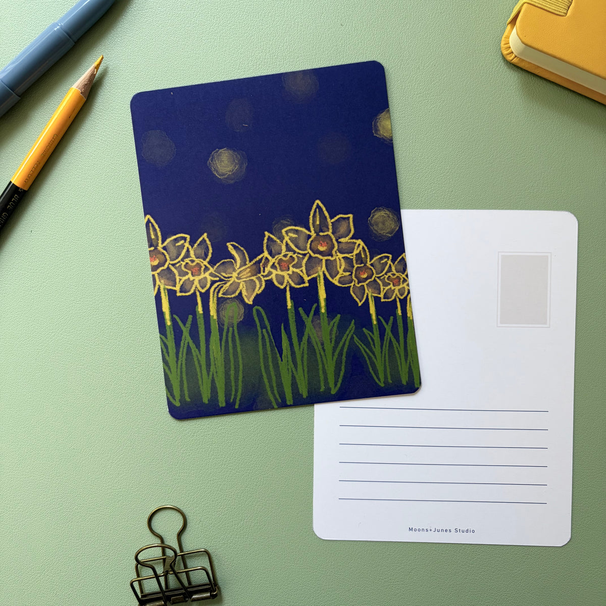 Postcard - Nightflowers