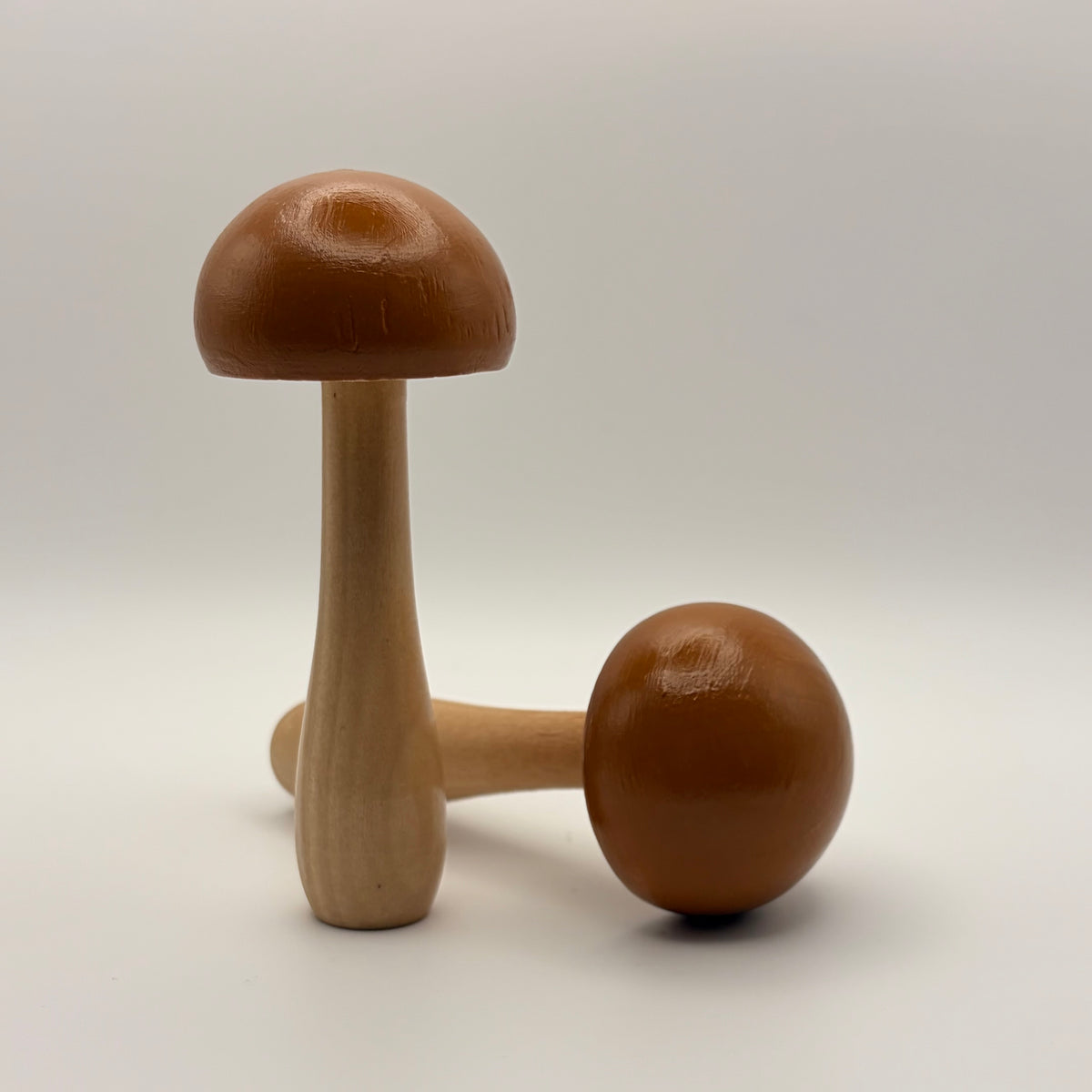 Mushrooms in October