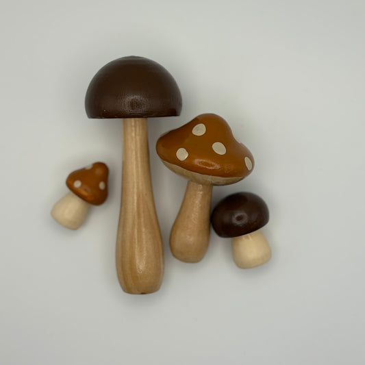 Mushroom Medley in October