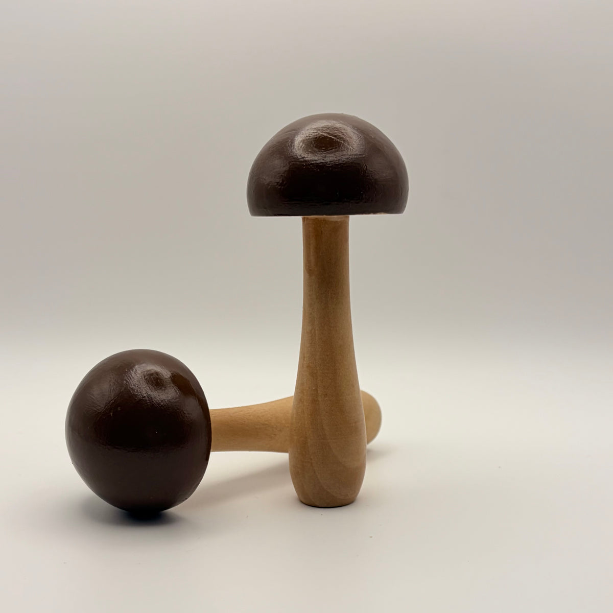 Mushrooms in October