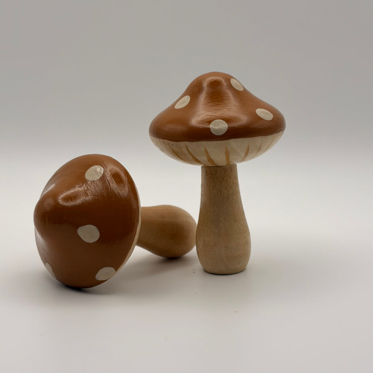 Mushrooms in October
