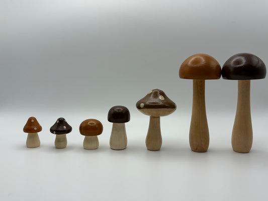 Mushrooms in October
