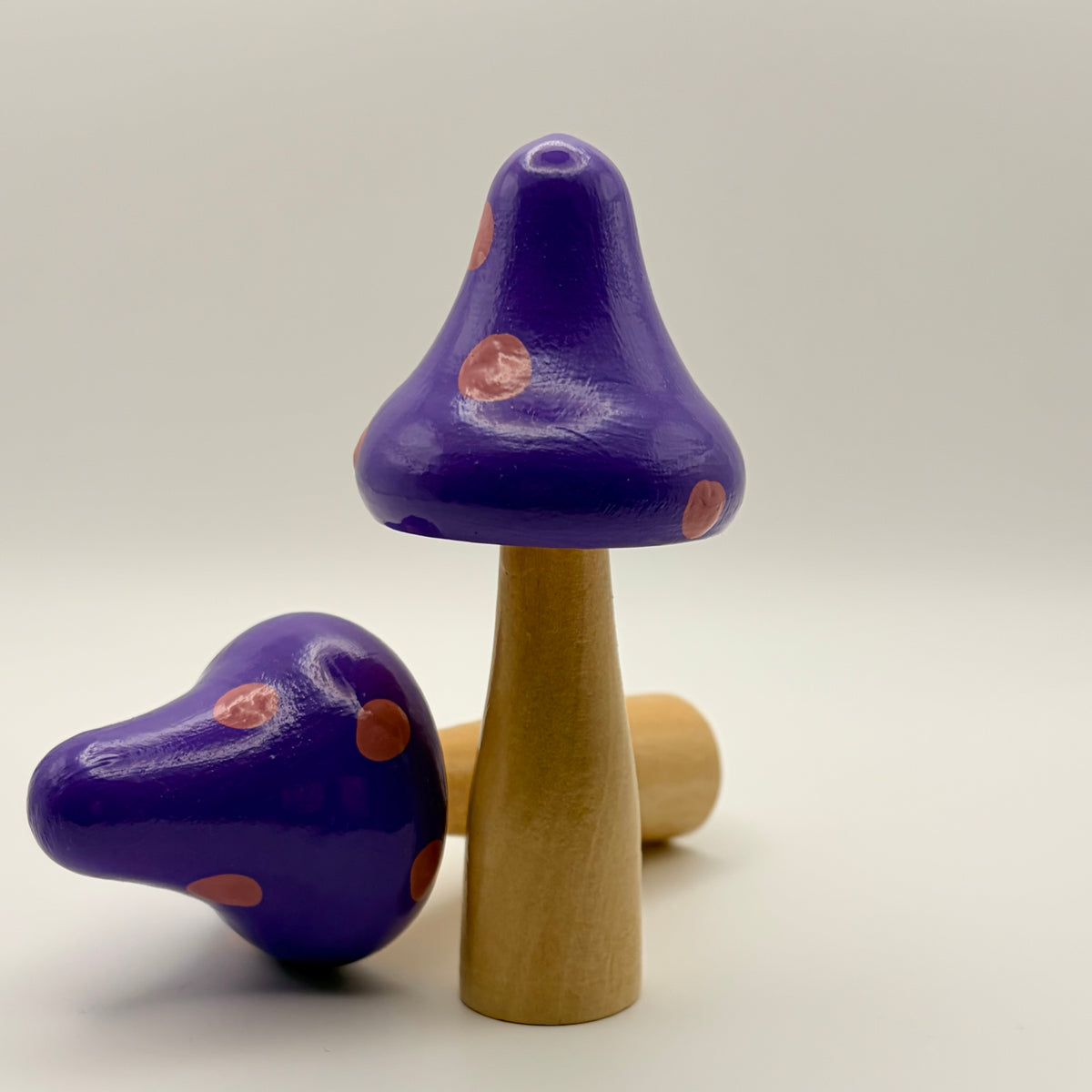 Mushrooms in Fairy Dust