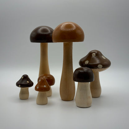 Mushrooms in October