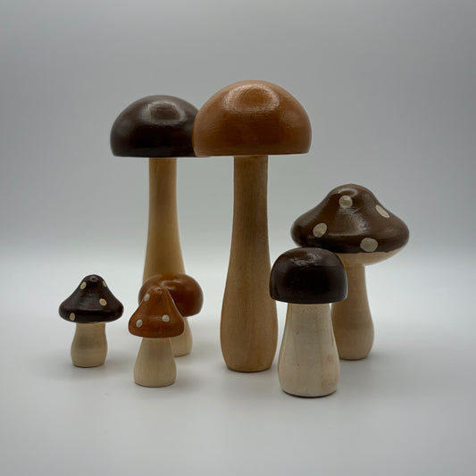 Mushrooms in October