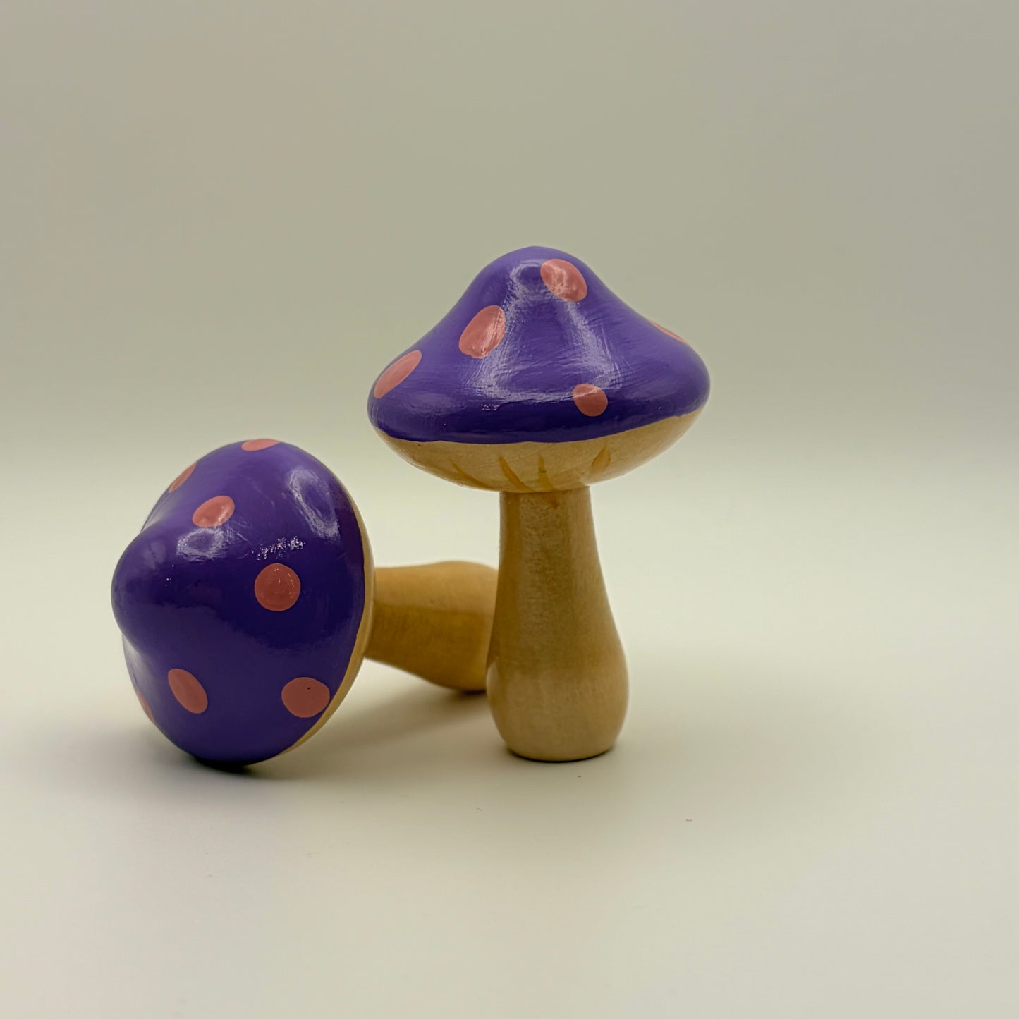 Mushrooms in Fairy Dust