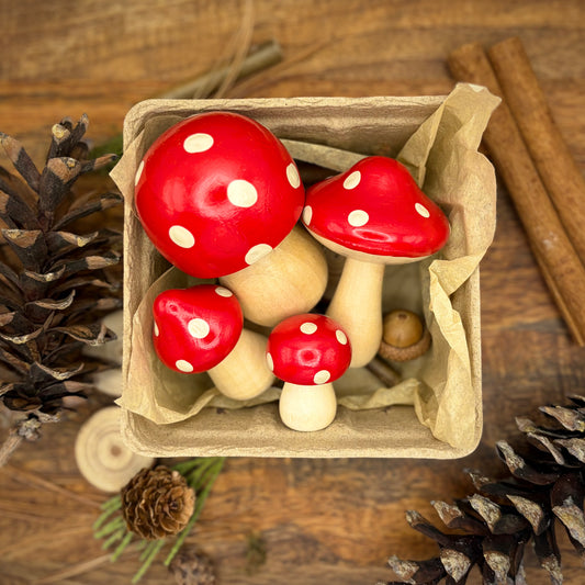 Mushroom Medley in Merry Golightly