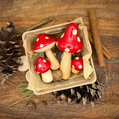 Mushroom Medley in Merry Golightly