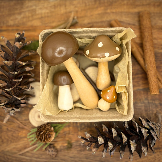 Mushroom Medley in October