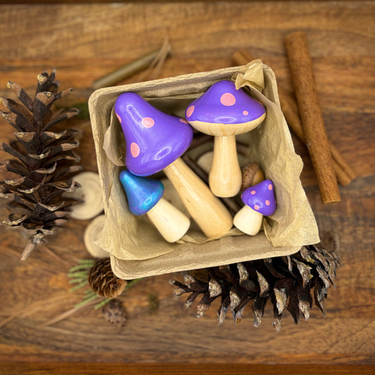 Mushroom Medley in Fairydust