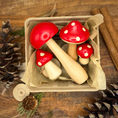 Mushroom Medley in Merry Golightly