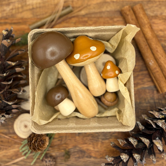 Mushroom Medley in October