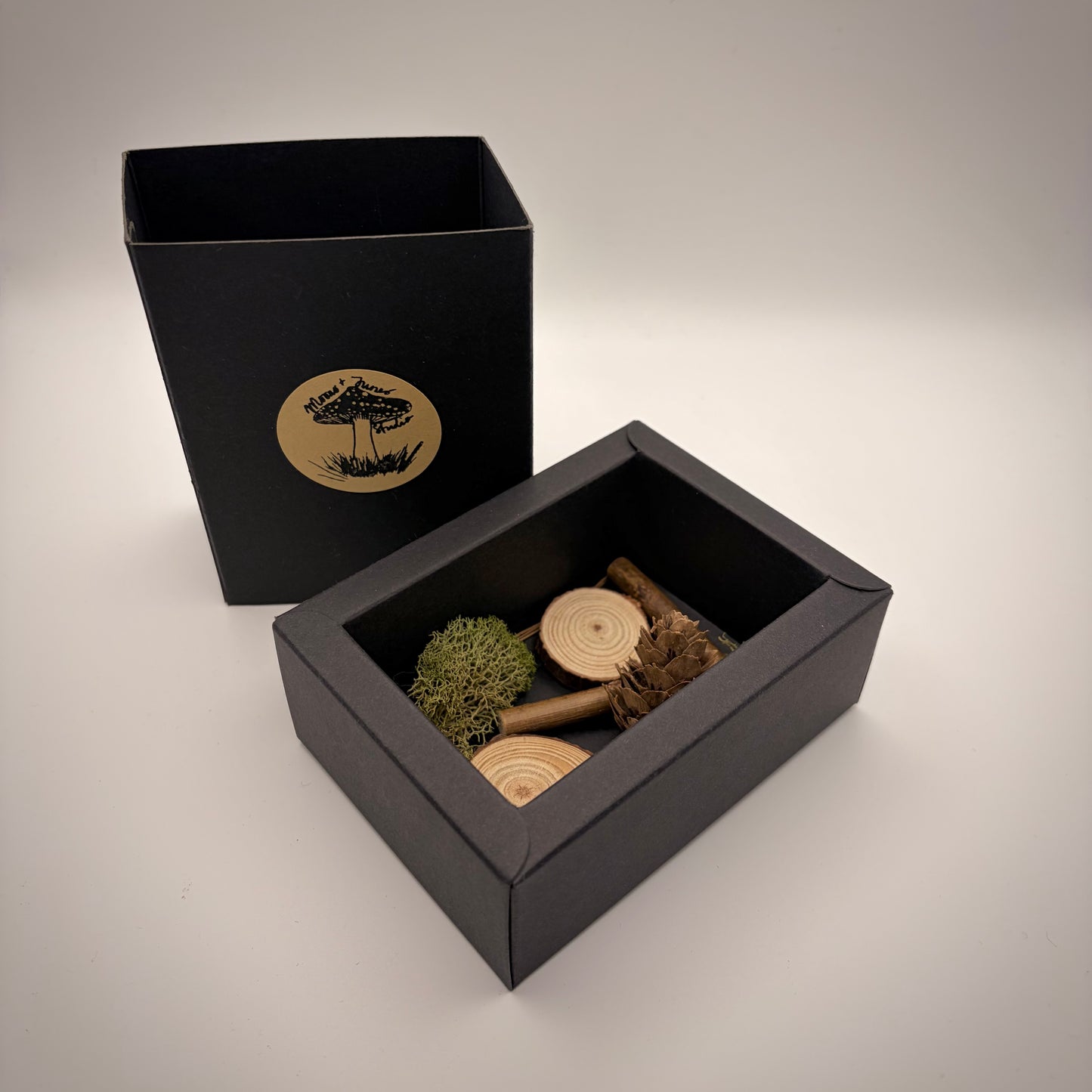 Gift box for Single Flattop Mushroom