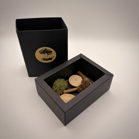 Gift box for Single Flattop Mushroom